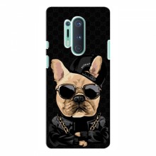 Чехлы с крутыми принтами для OnePlus 8 Pro - (PREMIUMPrint) Стильная собака - купить на Floy.com.ua