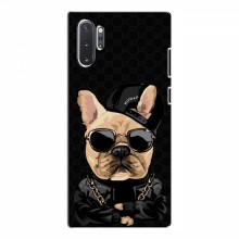 Чехлы с крутыми принтами для Samsung Galaxy Note 10 Plus - (PREMIUMPrint) Стильная собака - купить на Floy.com.ua