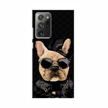 Чехлы с крутыми принтами для Samsung Galaxy Note 20 Ultra - (PREMIUMPrint) Стильная собака - купить на Floy.com.ua