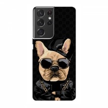 Чехлы с крутыми принтами для Samsung Galaxy S21 Ultra - (PREMIUMPrint) Стильная собака - купить на Floy.com.ua