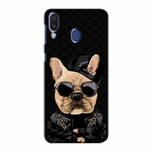 Чехлы с крутыми принтами для Samsung Galaxy M20 - (PREMIUMPrint) Стильная собака - купить на Floy.com.ua