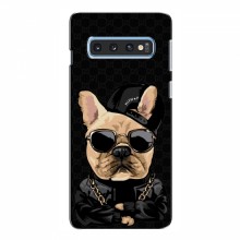 Чехлы с крутыми принтами для Samsung S10e - (PREMIUMPrint) Стильная собака - купить на Floy.com.ua