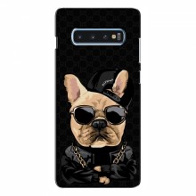 Чехлы с крутыми принтами для Samsung S10 Plus - (PREMIUMPrint) Стильная собака - купить на Floy.com.ua