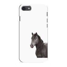 Чехлы с Лошадью для Айфон 8 (VPrint) Черный Конь - купить на Floy.com.ua