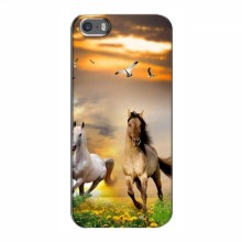 Чехлы с Лошадью для iPhone 5 / 5s / SE (VPrint) - купить на Floy.com.ua