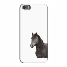 Чехлы с Лошадью для iPhone 5 / 5s / SE (VPrint) Черный Конь - купить на Floy.com.ua