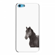 Чехлы с Лошадью для Apple 5c (VPrint) Черный Конь - купить на Floy.com.ua