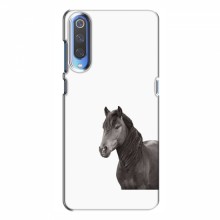 Чехлы с Лошадью для Huawei P Smart 2020 (VPrint) Черный Конь - купить на Floy.com.ua
