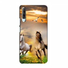 Чехлы с Лошадью для Huawei P Smart Pro (VPrint) - купить на Floy.com.ua