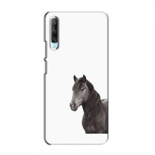 Чехлы с Лошадью для Huawei P Smart Pro (VPrint) Черный Конь - купить на Floy.com.ua