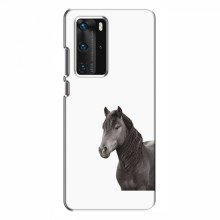 Чехлы с Лошадью для Huawei P40 Pro (VPrint) Черный Конь - купить на Floy.com.ua