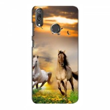 Чехлы с Лошадью для Huawei Y7 2019 (VPrint)