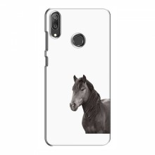 Чехлы с Лошадью для Huawei Y7 2019 (VPrint) Черный Конь - купить на Floy.com.ua
