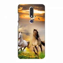 Чехлы с Лошадью для Nokia 3.1 Plus (VPrint)