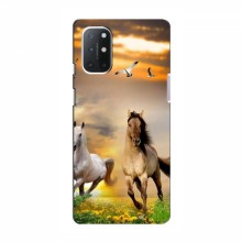 Чехлы с Лошадью для OnePlus 9 Lite (VPrint) - купить на Floy.com.ua