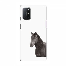 Чехлы с Лошадью для OnePlus 9 Lite (VPrint) Черный Конь - купить на Floy.com.ua