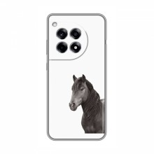 Чехлы с Лошадью для ВанПлас Ейс 3 (VPrint) Черный Конь - купить на Floy.com.ua