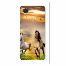 Чехлы с Лошадью для Samsung Galaxy A04 Core (VPrint) - купить на Floy.com.ua