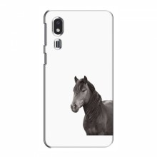 Чехлы с Лошадью для Samsung Galaxy A2 Core (VPrint) Черный Конь - купить на Floy.com.ua
