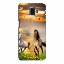 Чехлы с Лошадью для Samsung J6 Plus, J6 Плюс 2018 (J610) (VPrint) - купить на Floy.com.ua
