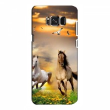 Чехлы с Лошадью для Samsung S8, Galaxy S8, G950 (VPrint) - купить на Floy.com.ua