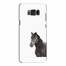 Чехлы с Лошадью для Samsung S8, Galaxy S8, G950 (VPrint) Черный Конь - купить на Floy.com.ua