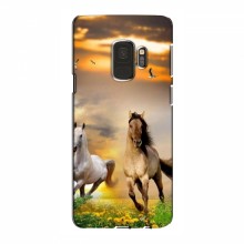 Чехлы с Лошадью для Samsung S9 (VPrint) - купить на Floy.com.ua