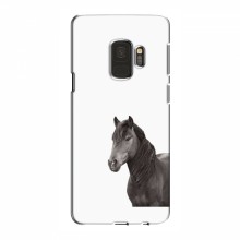 Чехлы с Лошадью для Samsung S9 (VPrint) Черный Конь - купить на Floy.com.ua
