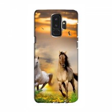 Чехлы с Лошадью для Samsung S9 Plus (VPrint) - купить на Floy.com.ua