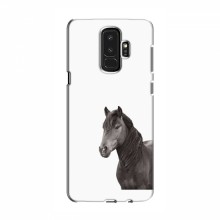 Чехлы с Лошадью для Samsung S9 Plus (VPrint) Черный Конь - купить на Floy.com.ua