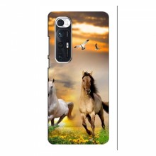 Чехлы с Лошадью для Xiaomi Mi 10s (VPrint)