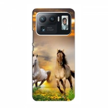 Чехлы с Лошадью для Xiaomi Mi 11 Ultra (VPrint) - купить на Floy.com.ua