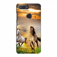 Чехлы с Лошадью для Xiaomi Mi8 Lite (VPrint) - купить на Floy.com.ua