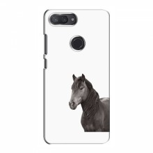 Чехлы с Лошадью для Xiaomi Mi8 Lite (VPrint) Черный Конь - купить на Floy.com.ua