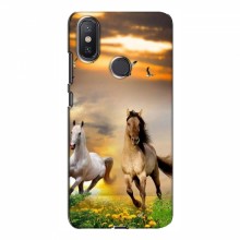 Чехлы с Лошадью для Xiaomi Mi A2 Lite (VPrint) - купить на Floy.com.ua