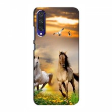 Чехлы с Лошадью для Xiaomi Mi A3 (VPrint) - купить на Floy.com.ua