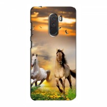 Чехлы с Лошадью для Xiaomi Pocophone F1 (VPrint) - купить на Floy.com.ua