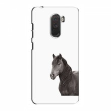 Чехлы с Лошадью для Xiaomi Pocophone F1 (VPrint) Черный Конь - купить на Floy.com.ua