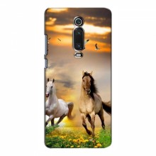Чехлы с Лошадью для Xiaomi Mi 9T Pro (VPrint) - купить на Floy.com.ua