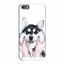 Чехлы с собаками для iPhone 5 / 5s / SE (VPrint) Довольный Хаски - купить на Floy.com.ua