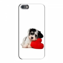 Чехлы с собаками для iPhone 5 / 5s / SE (VPrint) Песик - купить на Floy.com.ua