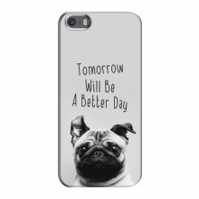 Чехлы с собаками для iPhone 5 / 5s / SE (VPrint) Смешной Мопс - купить на Floy.com.ua