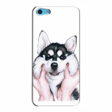 Чехлы с собаками для Apple 5c (VPrint) Довольный Хаски - купить на Floy.com.ua