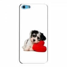 Чехлы с собаками для Apple 5c (VPrint) Песик - купить на Floy.com.ua