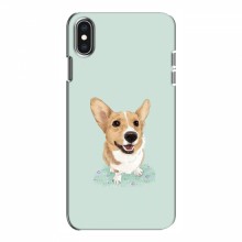 Чехлы с собаками для iPhone Xs (VPrint) - купить на Floy.com.ua