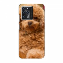 Чехлы с собаками для Google Pixel 2 XL (VPrint) кудрявый Щенок Бишон - купить на Floy.com.ua