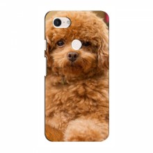 Чехлы с собаками для Google Pixel 3 XL (VPrint) кудрявый Щенок Бишон - купить на Floy.com.ua
