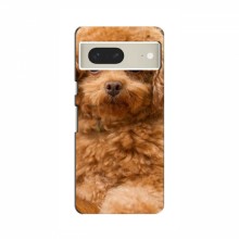 Чехлы с собаками для Google Pixel 7 (VPrint) кудрявый Щенок Бишон - купить на Floy.com.ua