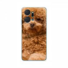 Чехлы с собаками для Huawei Honor X7a (VPrint)