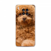 Чехлы с собаками для Huawei Nova 8i (VPrint) кудрявый Щенок Бишон - купить на Floy.com.ua